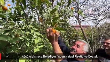 Küçükçekmece Belediyesi'nden Hataylı Üreticiye Destek