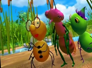 Miss Spider's Sunny Patch Friends Miss Spider’s Sunny Patch Friends S02 E010 Secret Frog