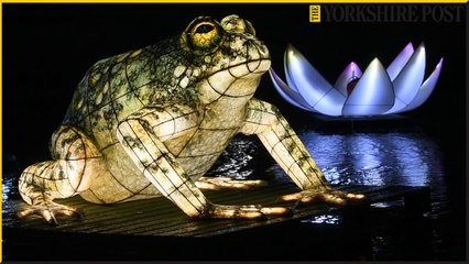 The Awakening installation returns to Hull