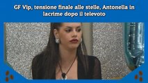 GF Vip, tensione finale alle stelle, Antonella in lacrime dopo il televoto