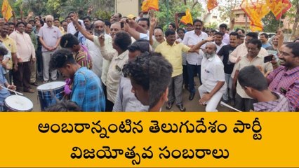 విజయనగరం: జిల్లాలో అంబరాన్నంటిన తెలుగు తమ్ముళ్ల సంబరాలు