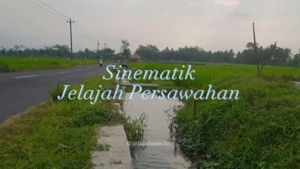 Sinematik Jelajah  Persawahan ║Magelang Jawa Tengah