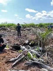 Apel Green Aceh Memeriksa Kawasan Lindung Rawa Tripa