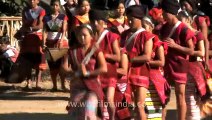 Arunachal pradesh dance at Hornbill festival, Nagaland