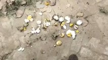 बेगूसराय: खराब अंडा मिलने से छात्रों ने किया जमकर हंगामा