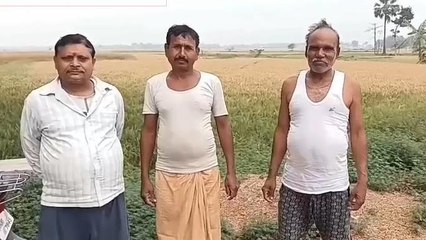 पूर्वी चंपारण: मौसम ने बदला अपना मिजाज, ओलावृष्टि से किसान हुए बर्बाद