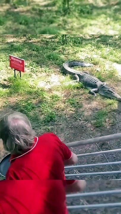 Short Funny Compilation (30)