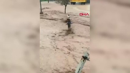 ŞANLIURFA'DA SELE KAPILAN KIZINI KURTARIP, AĞACA SARILARAK YARDIM BEKLEDİ