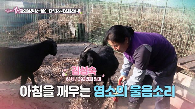 성숙 엄마의 유쾌한 전원일기_엄마의 봄날 392회 예고 TV CHOSUN 230319 방송
