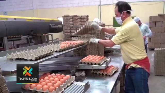 tn7-estudio-revela-diferencias-sanitarias-de-huevos-convencionales-y-de-pastoreo-170323