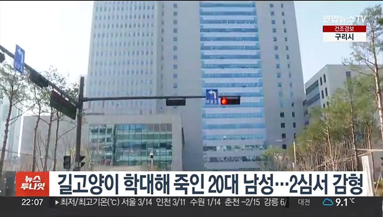 길고양이 학대해 죽인 20대 남성…2심서 감형