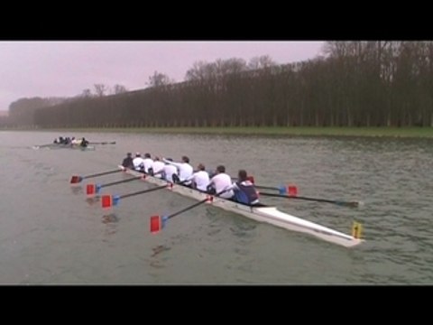 Aviron : régate royale sur le Grand Canal !