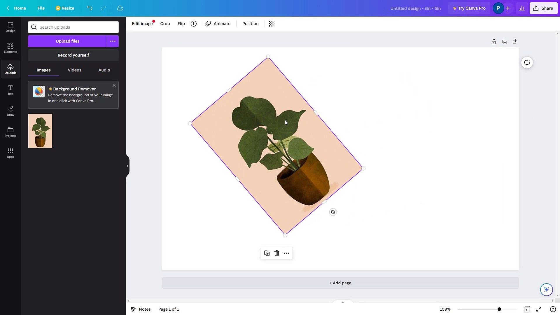 Canva Course Section 8 Uploading your Own Images