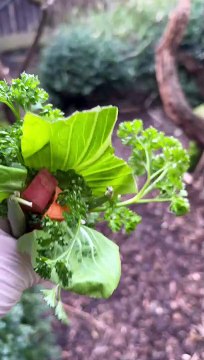 Animals celebrating ahead of Mothering Sunday at Drusillas Zoo in East Sussex