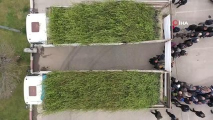 Gaziantep'in ilçelerindeki çiftçilere 50 bin fidan dağıtıldı