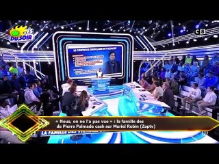 « Nous, on ne l'a pas vue » : la famille des  de Pierre Palmade cash sur Muriel Robin (Zaptv)