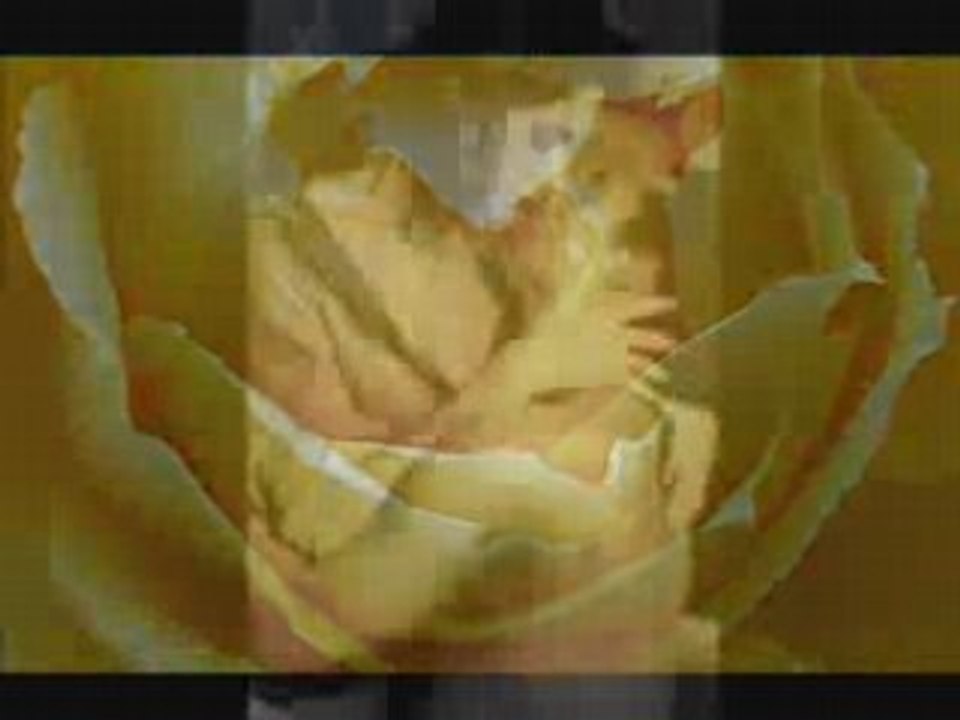 Roxette-Fading Like A Flower-(prevod)