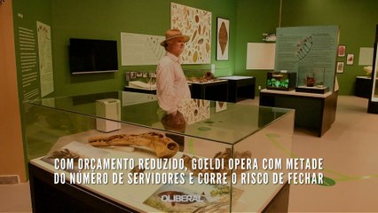 Com orçamento reduzido, Goeldi opera com metade do número de servidores e corre o risco de fechar