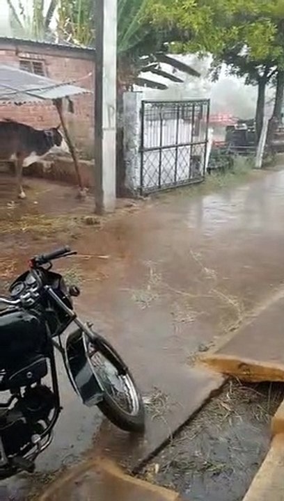 -तापमान में आई तेजी से गिरावट, गेहूं-चने की फसल फिर भीगी