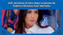 UeD, decisione di Alice dopo la batosta da Federico Nicotera, fuori dall'Italia