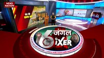 Jungle Sixer : देखिए जंगल से जुड़ी सभी खबरें Jungle Sixer में