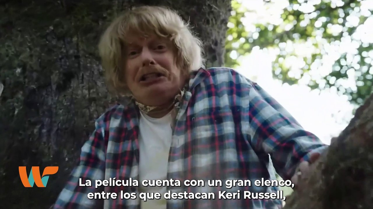 Razones por las que vale la pena ir a ver ‘Oso Intoxicado’ || Wipy TV
