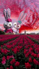 cute teddy bear love status  (2) #enjoyshorts