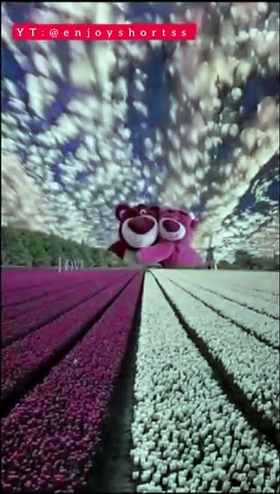 teddy bear love status #enjoyvideos #ENJOYVIDEOS @enjoyshorts