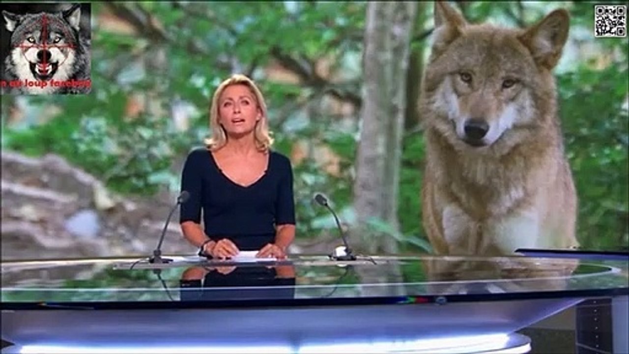 Retour du Loup dans l’Ouest
