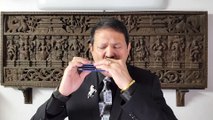 Teri Meri Galaan Hogi Mashoor-Shershaah 2021 on Harmonica Live Performance by Mukund Kamdar