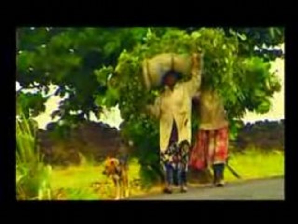 Cassiya (séga dan vilaz)