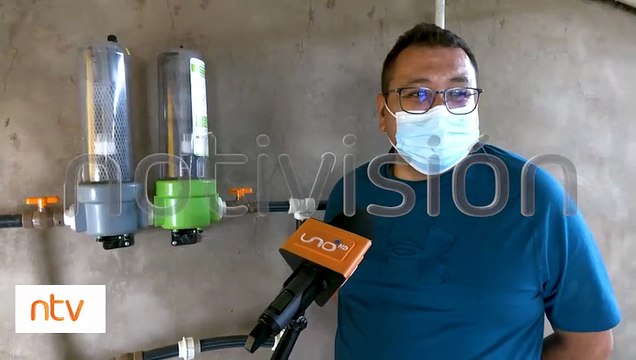 Granjas afectadas por la gripe aviar acataron el protocolo de bioseguridad del Senasag