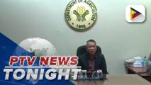 780-k kg of smuggled refined sugar worth almost P85-M seized at the Port of Subic