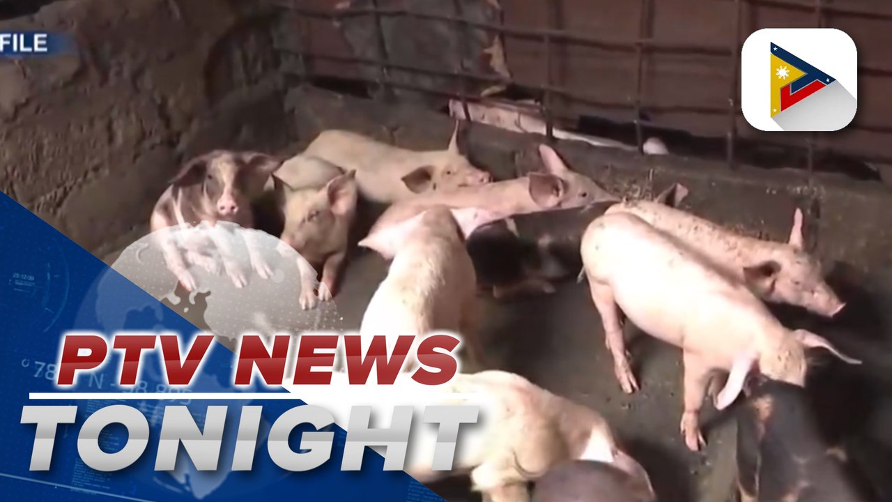 DA urges public to avoid transporting pork products amid ASF threat in Cebu