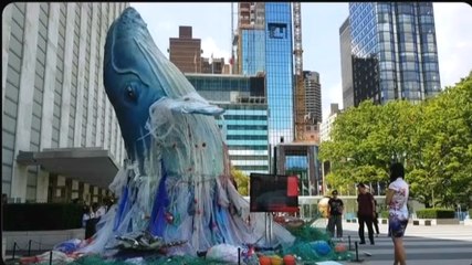 Jugada Crítica 17-03: Tratado de Altamar, patrimonio inherente de los pueblos