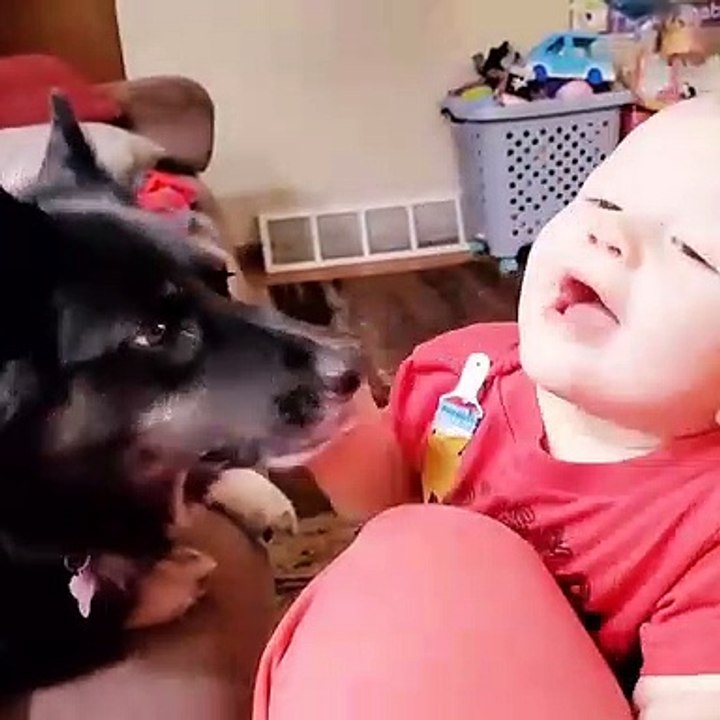 Funny Babies and Dogs Are Best Friends - Funny Baby Video