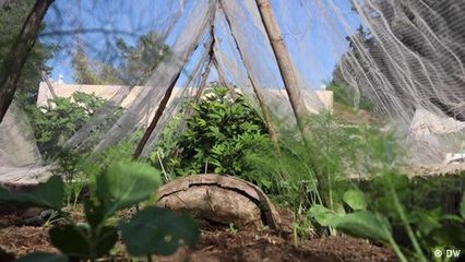 Tunisia: Seeds of Hope