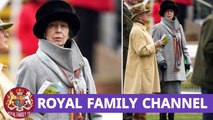 ROYAL SHOCKED! Princess Anne braves the chilly weather in an all-gray suit and a colorful silk scarf