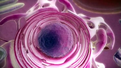 From DNA to protein - 3D