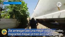 ¡Se arriesgan por una mejor vida! con valor, migrantes trepan el tren en Coatzacoalcos