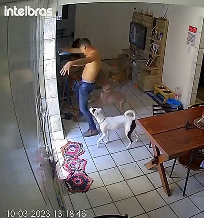 Guy Wigs Out After Cockroach Crawls on Him