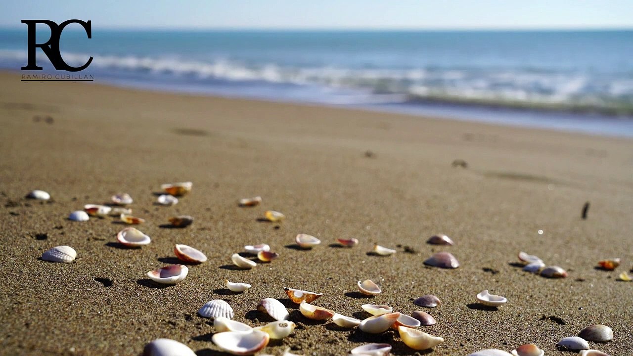 Afirmaciones de Merecimiento de Louise Hay para hacer todos los días