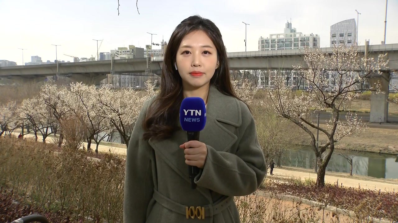 [날씨] 맑고 따뜻한 주말...도심 봄꽃 속속 개화 / YTN