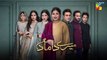 Mere Damad - Episode 47 [ Washma Fatima - Humayun Ashraf ] 17th March 2023 - HUM TV