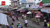 Hallan en Vietnam 2 mil gatos muertos destinados a la medicina tradicional