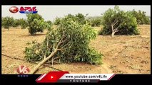 Farmers Facing Huge Loss With Sudden Rains In Telangana _ V6 Teenmaar (1)