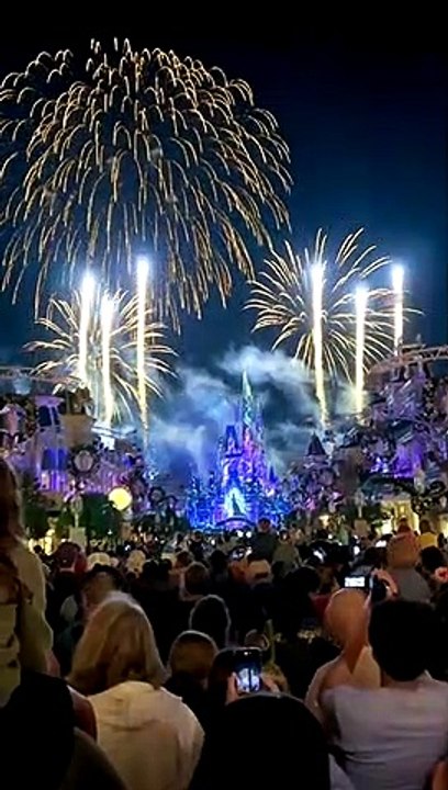 Disney World's Magic Kingdom during the 50th Anniversary!