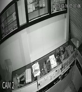 नकाबपोश बदमाश ने मोबाइल फोन दुकान से चुराए छह फोन