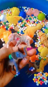 Magic with Animal Toys, Animals Sorting #shorts #toysforkids #trendingshorts
