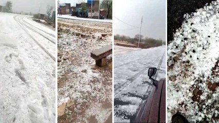 MP Weather News: ग्वालियर-चंबल में जमकर गिरे ओले, मनाली जैसी बिछ गई सफेद चादर, Video में देखें नजारे